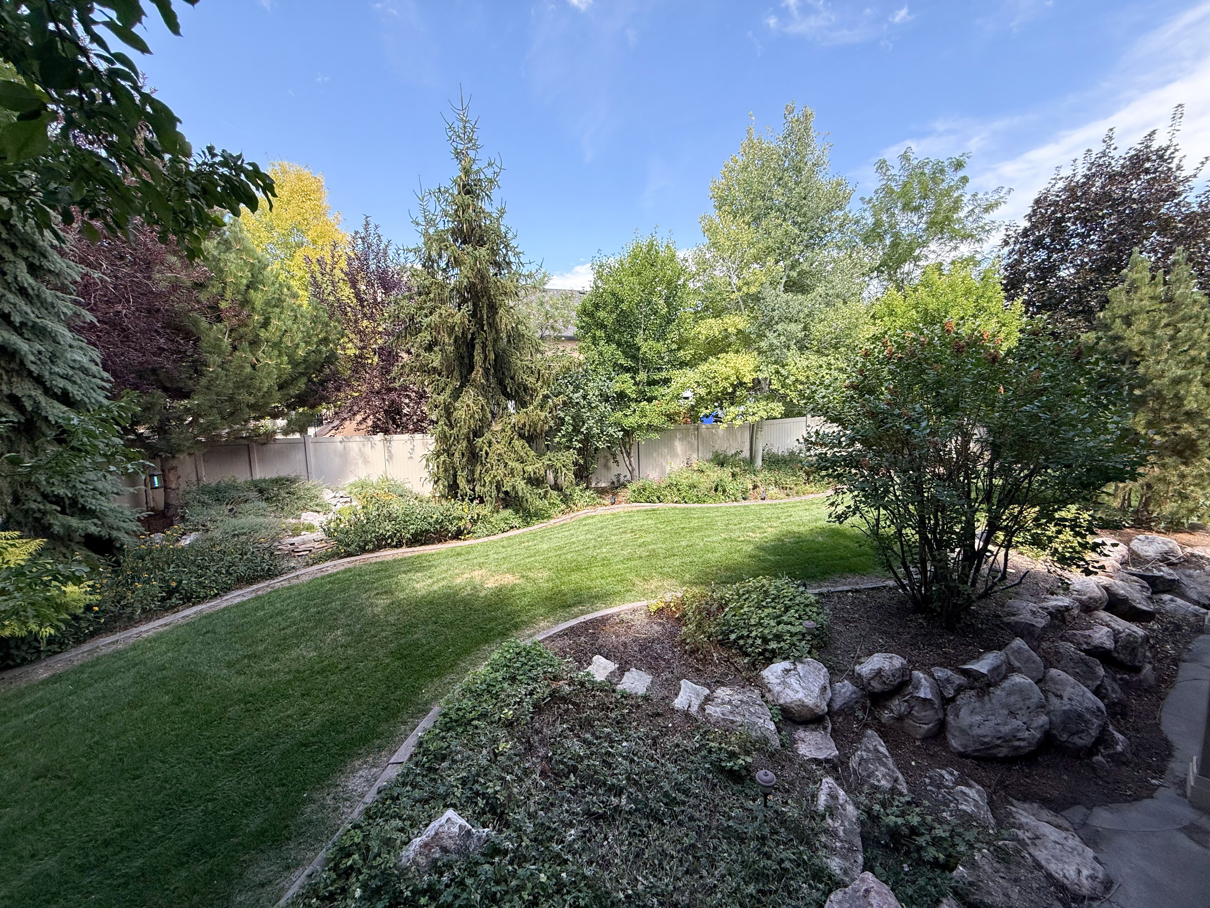 View of fenced backyard