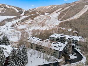 Snow Flower building 3 features immediate proximity to PC ski lifts/runs