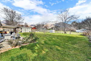 View of yard featuring a storage unit, a patio area, and a mountain view