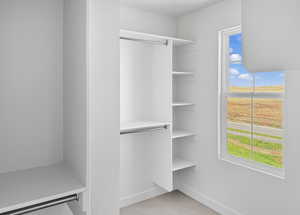 Spacious closet with light colored carpet