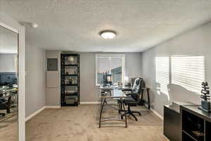 Office space featuring a textured ceiling, light carpet, and electric panel