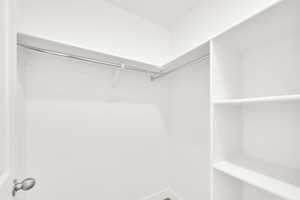 View of walk in closet
