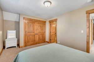 Bedroom featuring carpet floors and a closet