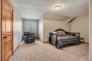 Bedroom with carpet floors and a textured ceiling