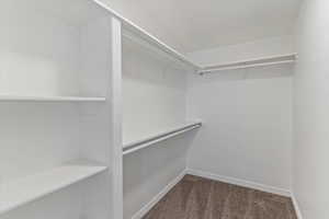 Spacious closet featuring dark carpet