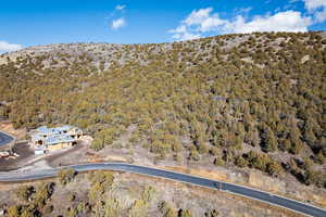 Aerial view of property's location