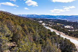 Bird's eye view of a mountainous background