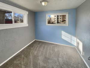 Unfurnished room featuring a textured wall, a textured ceiling, and carpet floors