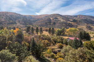 View of mountain background