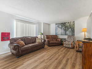 Living area featuring a textured ceiling and wood finished floors