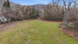 View of large clearing on property for a picnic area with mountain views