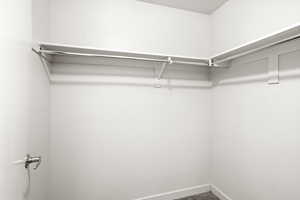 Spacious closet featuring carpet flooring