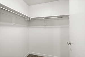 Spacious closet featuring dark colored carpet