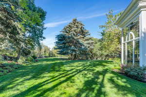 View of green lawn with view of wooded area