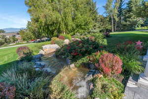 View of grassy yard with a small pond