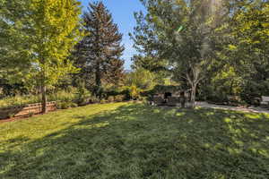 View of yard with a patio