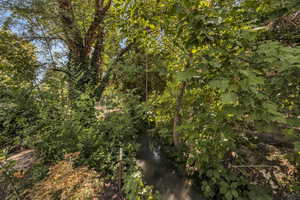 View of undeveloped land with a large body of water
