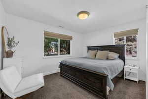 Bedroom featuring carpet and multiple windows