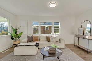 Living room with healthy amount of natural light and wood finished floors
