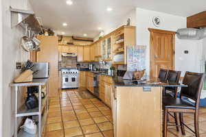 Kitchen with light brown cabinetry, a breakfast bar area, stainless steel appliances, glass insert cabinets, and decorative backsplash