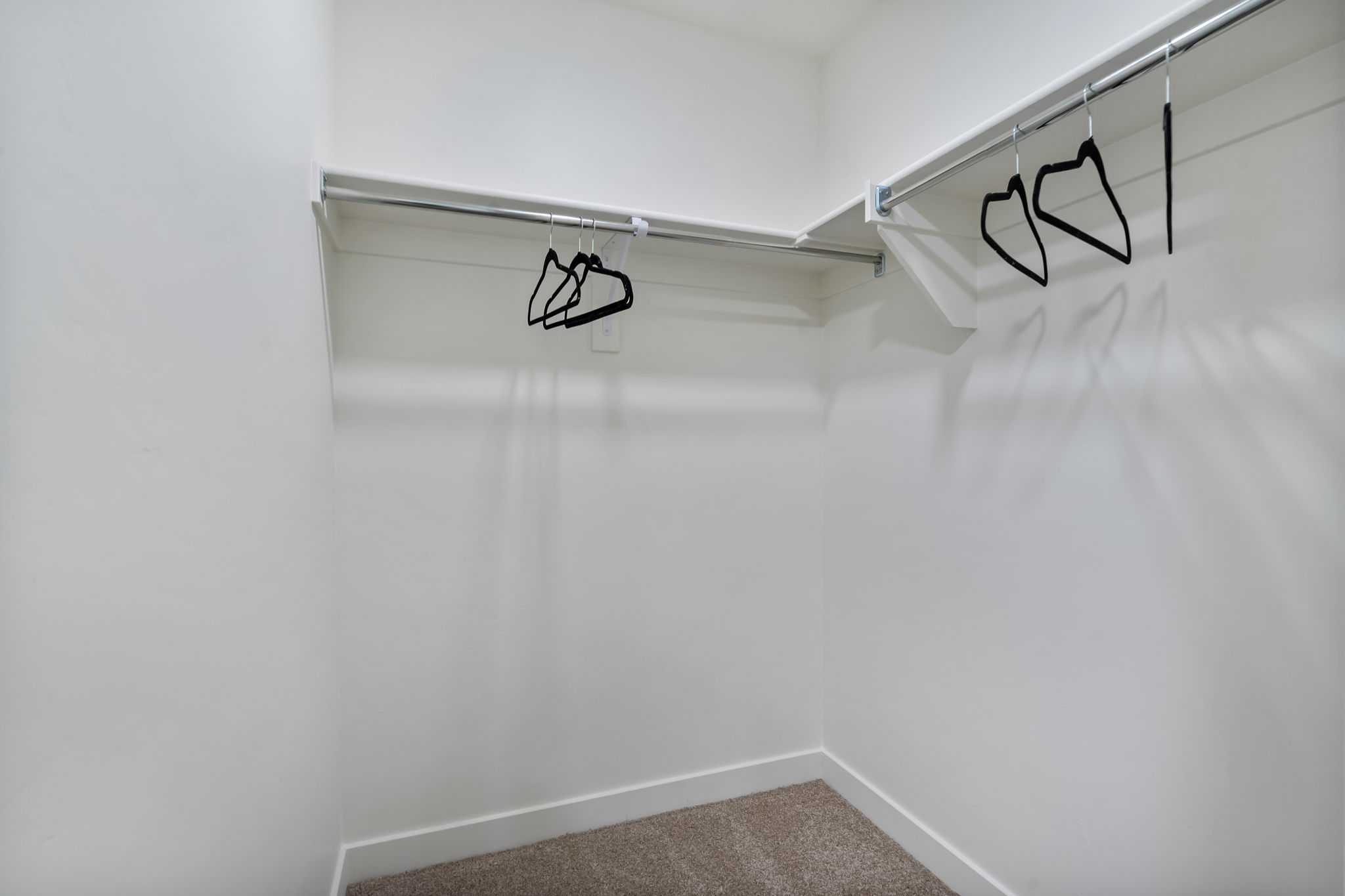 Spacious Primary closet with carpet