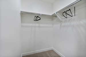 Spacious Primary closet with carpet