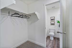 Walk in closet featuring dark wood-style floors