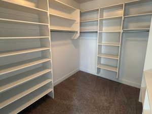 Walk in closet with dark colored carpet