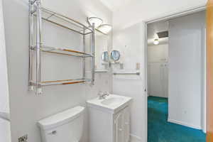 Bathroom featuring vanity and carpet flooring