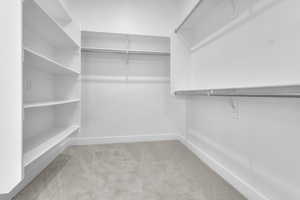 Spacious closet with light carpet