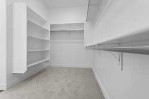 Spacious closet featuring light carpet