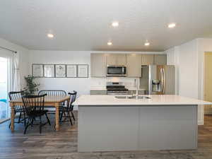 Kitchen with gray cabinetry, appliances with stainless steel finishes, recessed lighting, dark wood-type flooring, and a kitchen island with sink