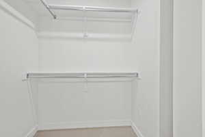 Spacious closet featuring light carpet