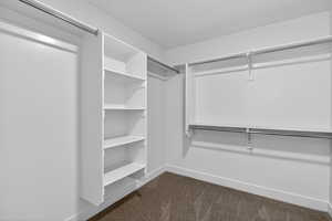 Walk in closet featuring dark colored carpet