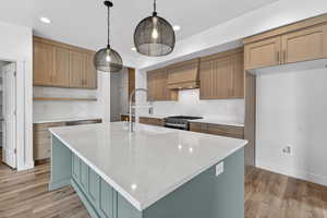 Kitchen with a kitchen island with sink, light stone countertops, hanging light fixtures, light wood-style floors, and backsplash
