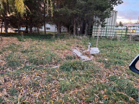 View of yard at dusk