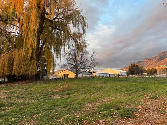 View of yard with a view of countryside