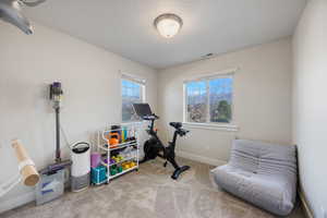 Exercise area featuring light carpet and baseboards