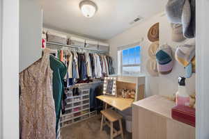 Spacious closet with dark colored carpet