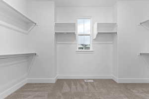 Spacious closet with light colored carpet