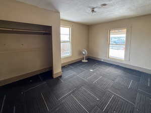 Unfurnished bedroom featuring multiple windows, a textured ceiling, and carpet flooring