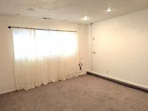 Basement Family Room