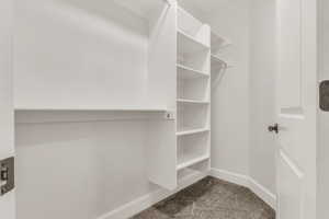 Spacious closet with carpet flooring