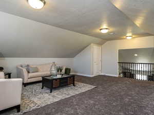 Living room with a textured ceiling, carpet flooring, and lofted ceiling