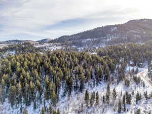 View of mountain background featuring a forest