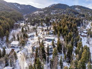 Snowy aerial view with a mountain view and a wooded view