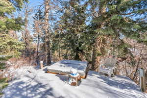 Hot tub in the pines