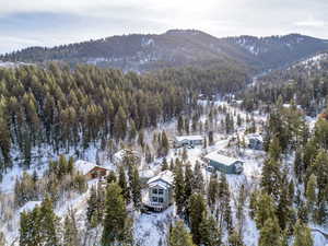 Snowy aerial view featuring a mountain view and a wooded view