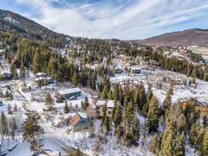Snowy aerial view with a mountain view and a forest view