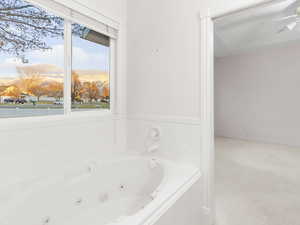 Full bathroom with a whirlpool tub and light colored carpet